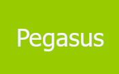 Pegasus